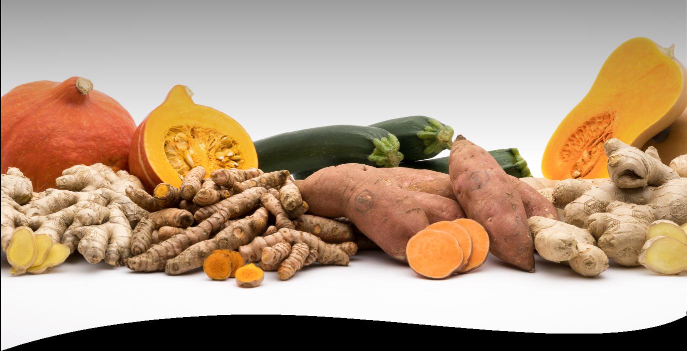 Vom Erzeuger zum B2B-Partner und direkt an den Endverbraucher